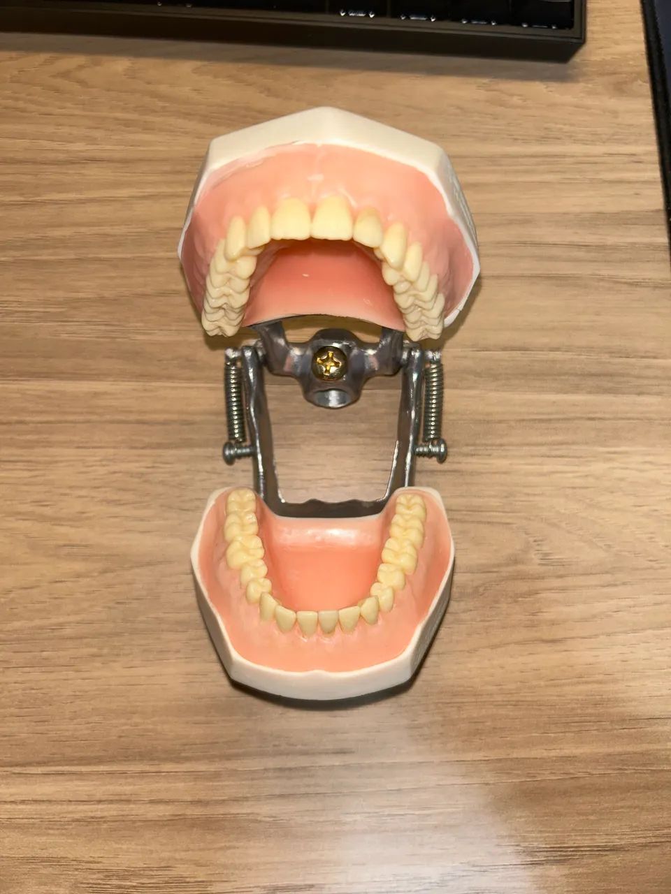 manequim de dentística padrão  - Foto 3