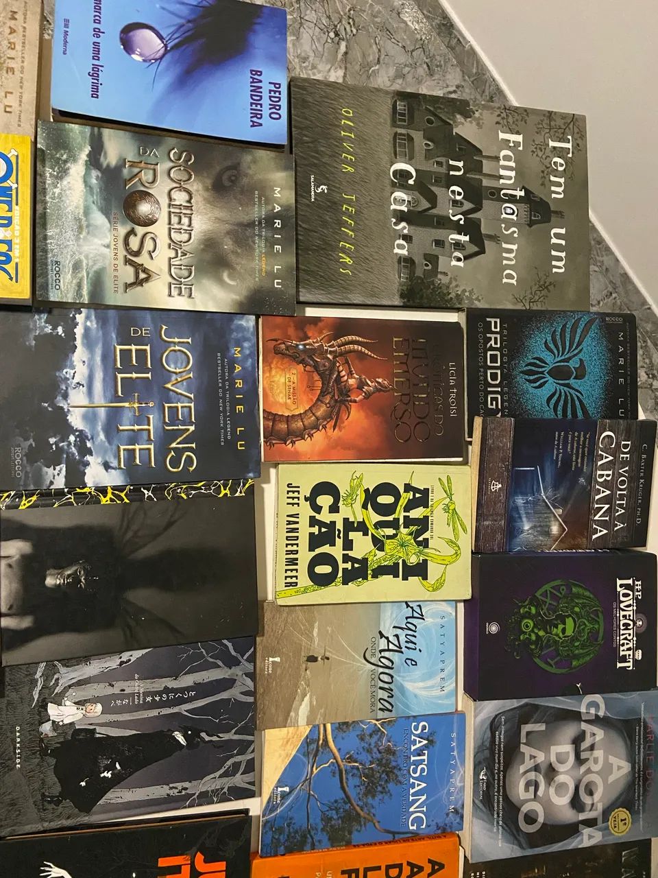 LIVROS diversos498133439653488642