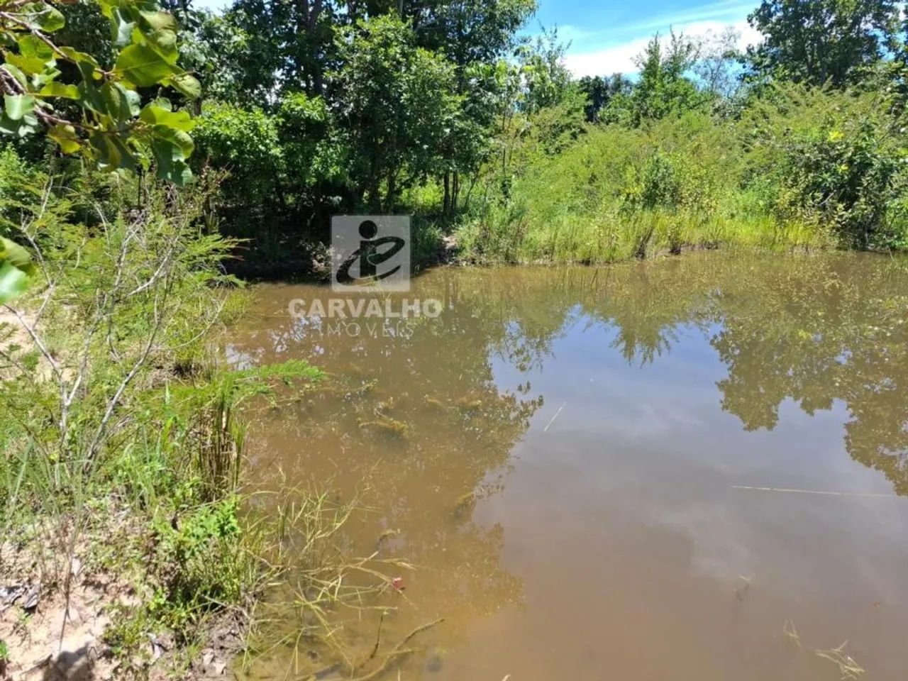 Fazenda a venda em Faina - GO - Foto 4