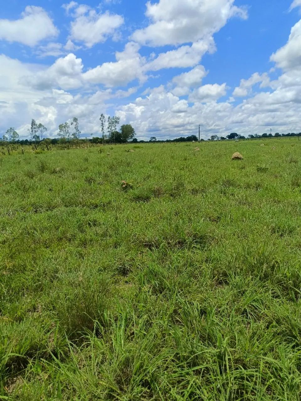 Chácara a venda em Divinópolis Tocantins  - Foto 2