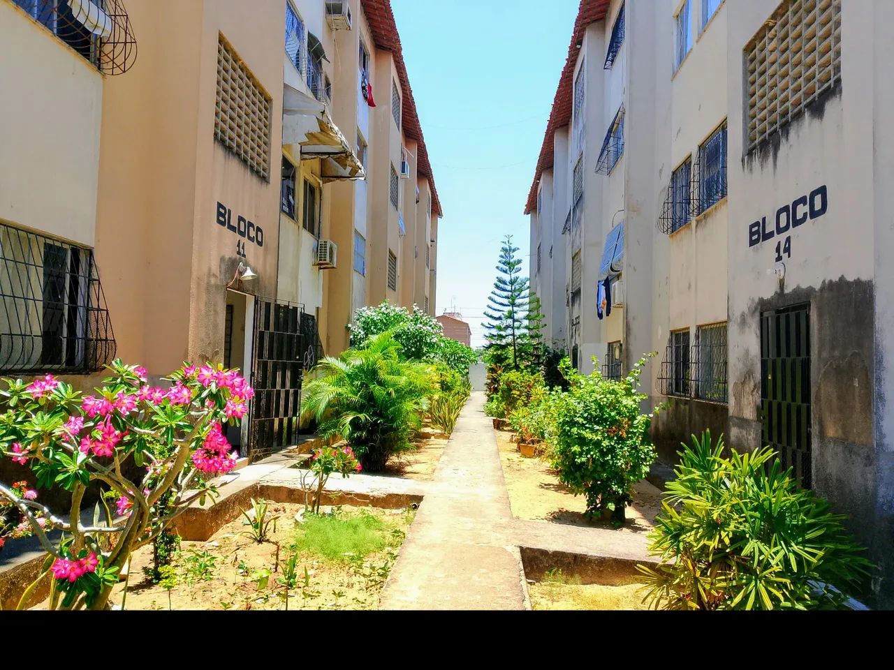 Vendo apartamento na Vila Pery  - Foto 4