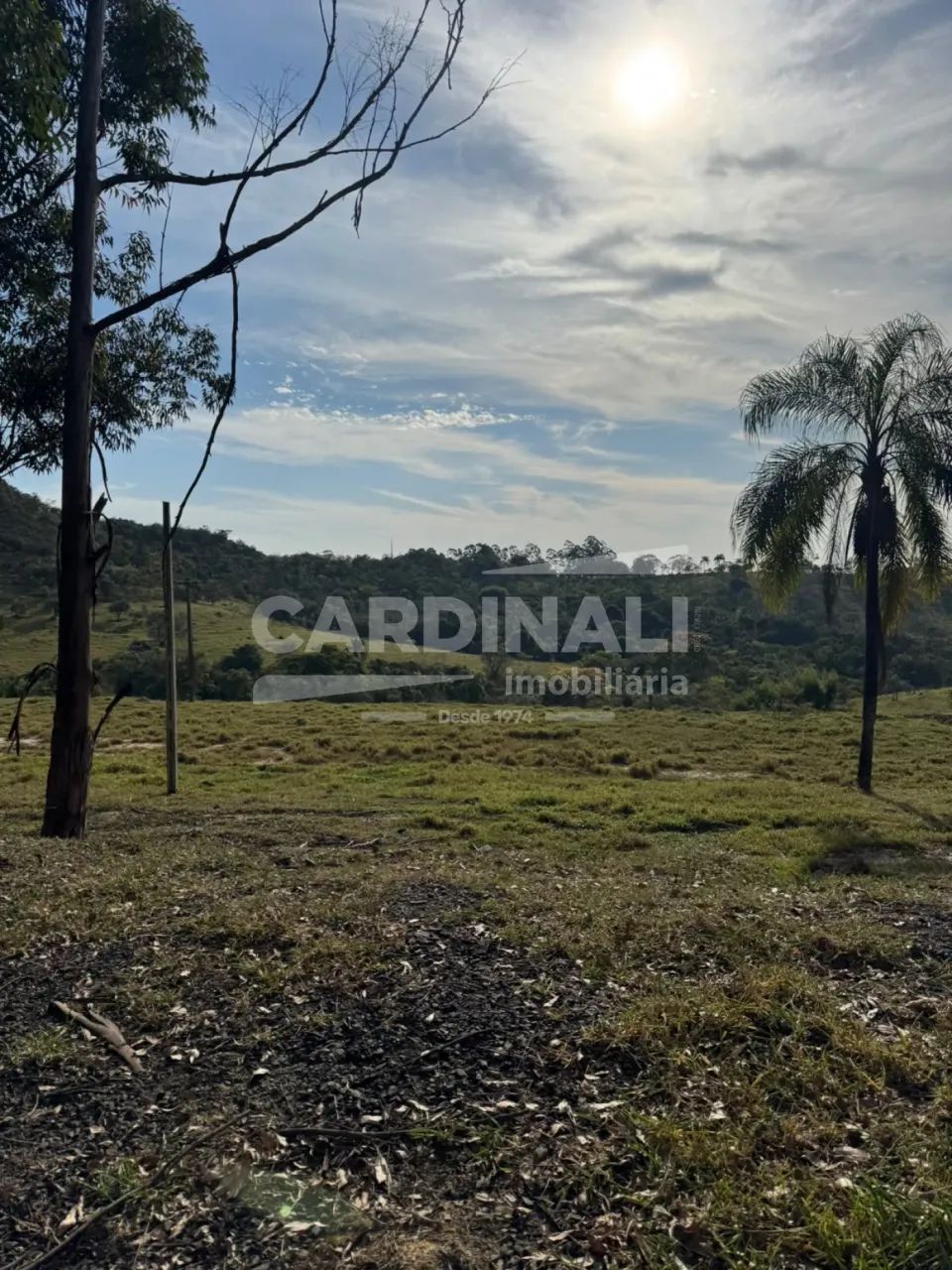 Área Rural à Venda em Itirapina/SP - Foto 4