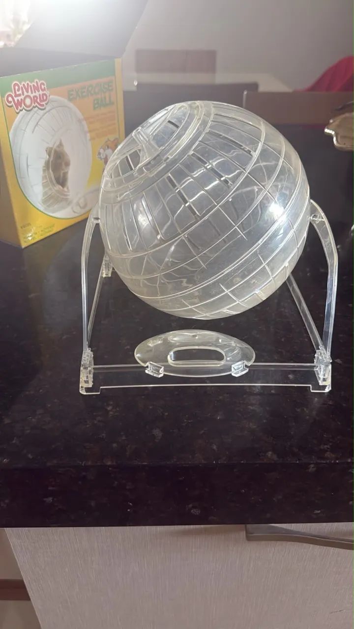 Bola Exercício Hamster