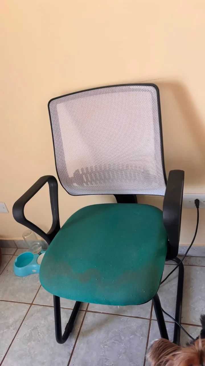 Cadeira de escritório Flexform