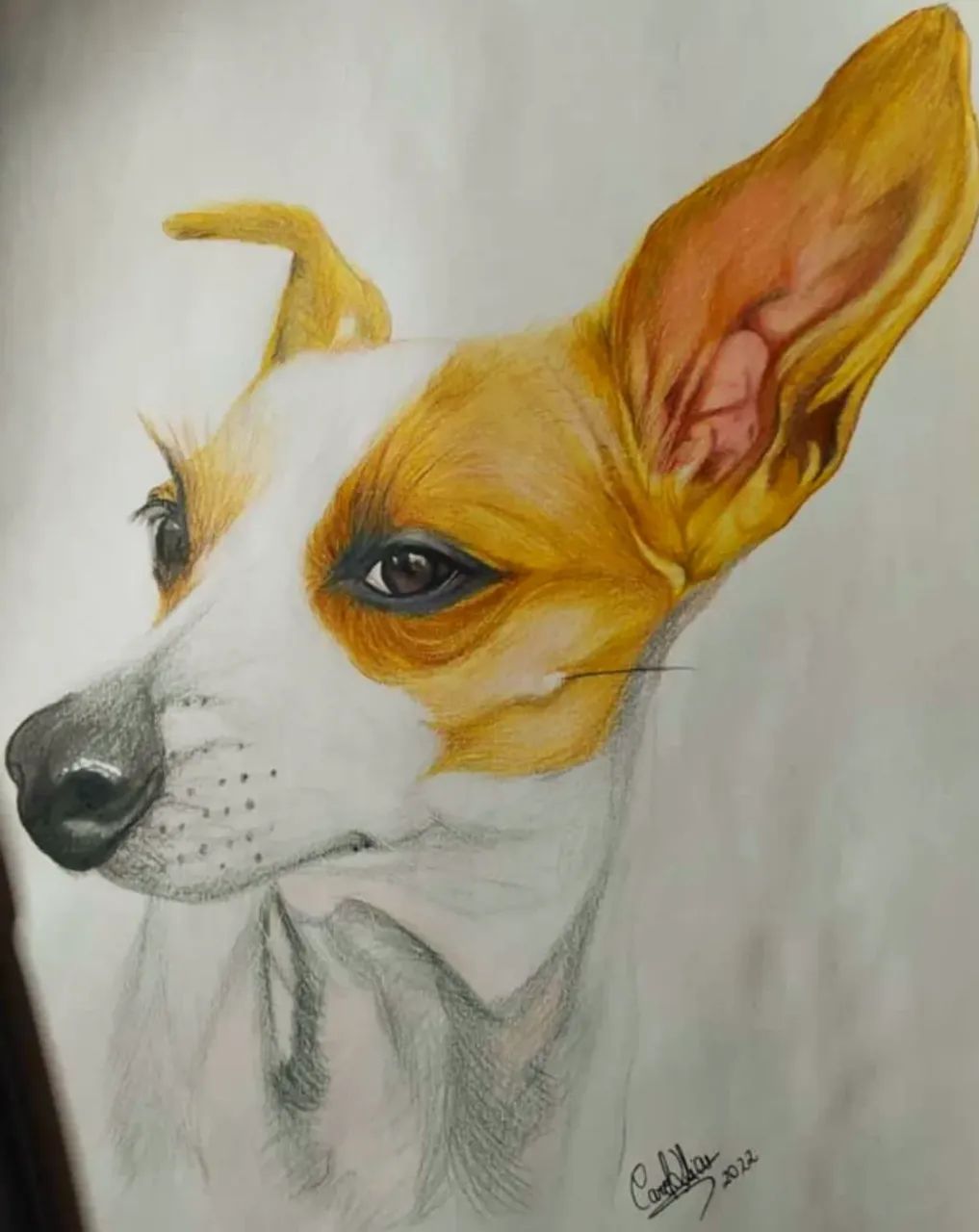 Arte do seu pet - Foto 4