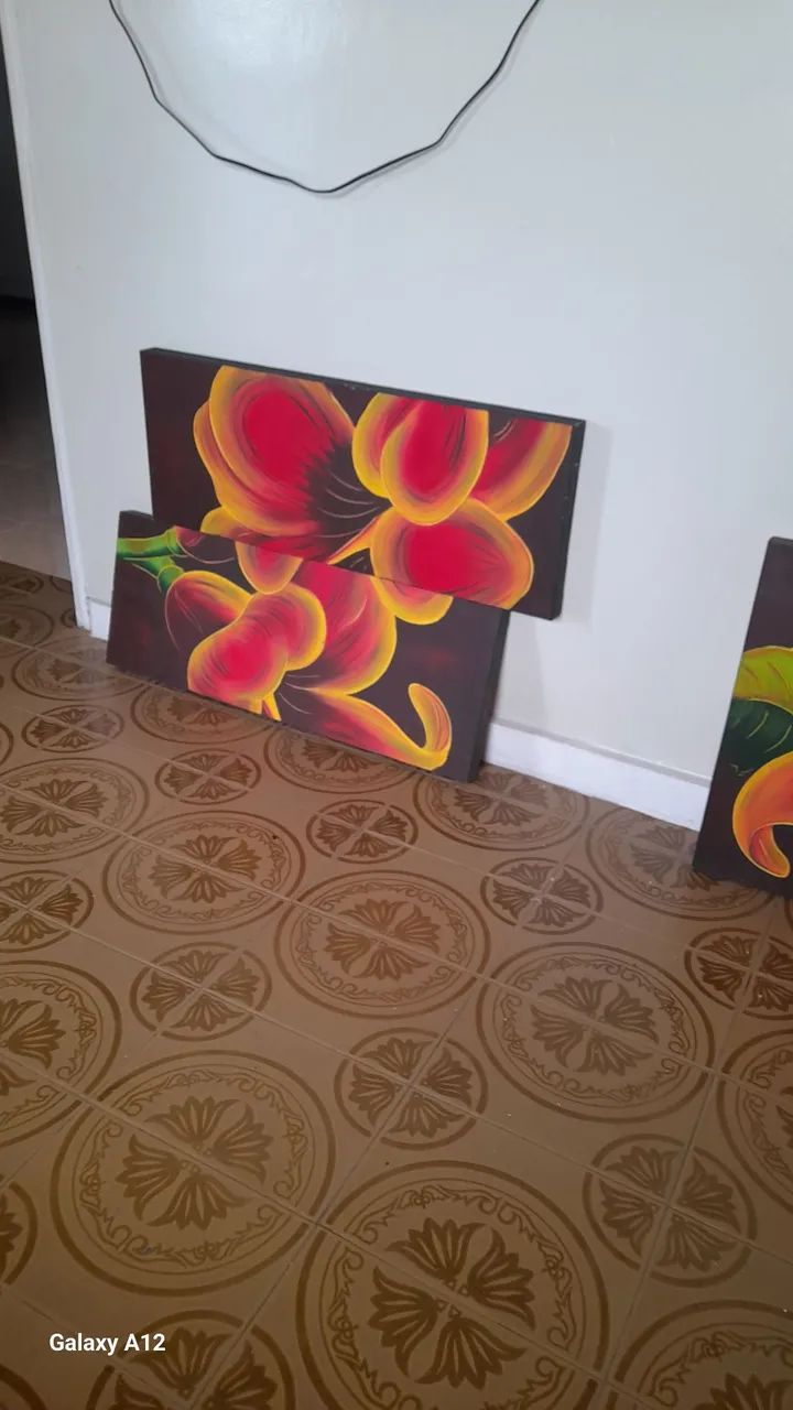 Quadros - Foto 5