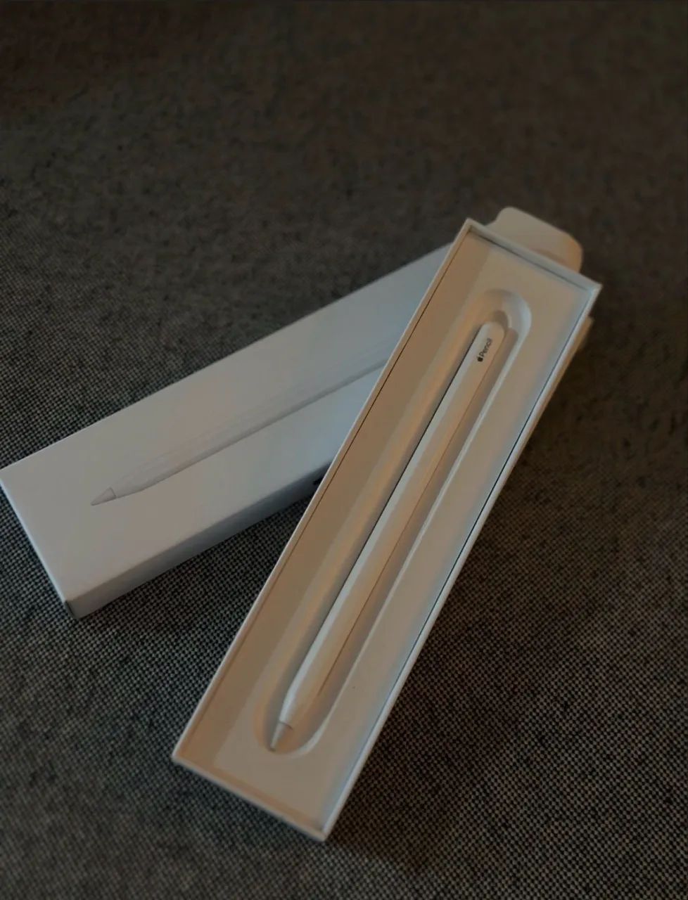Apple Pencil 2da geração - usada por 2 meses
