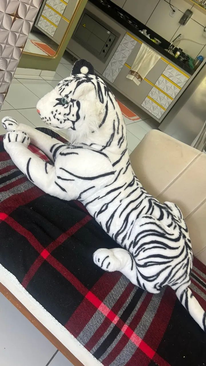 Tigre - Foto 2