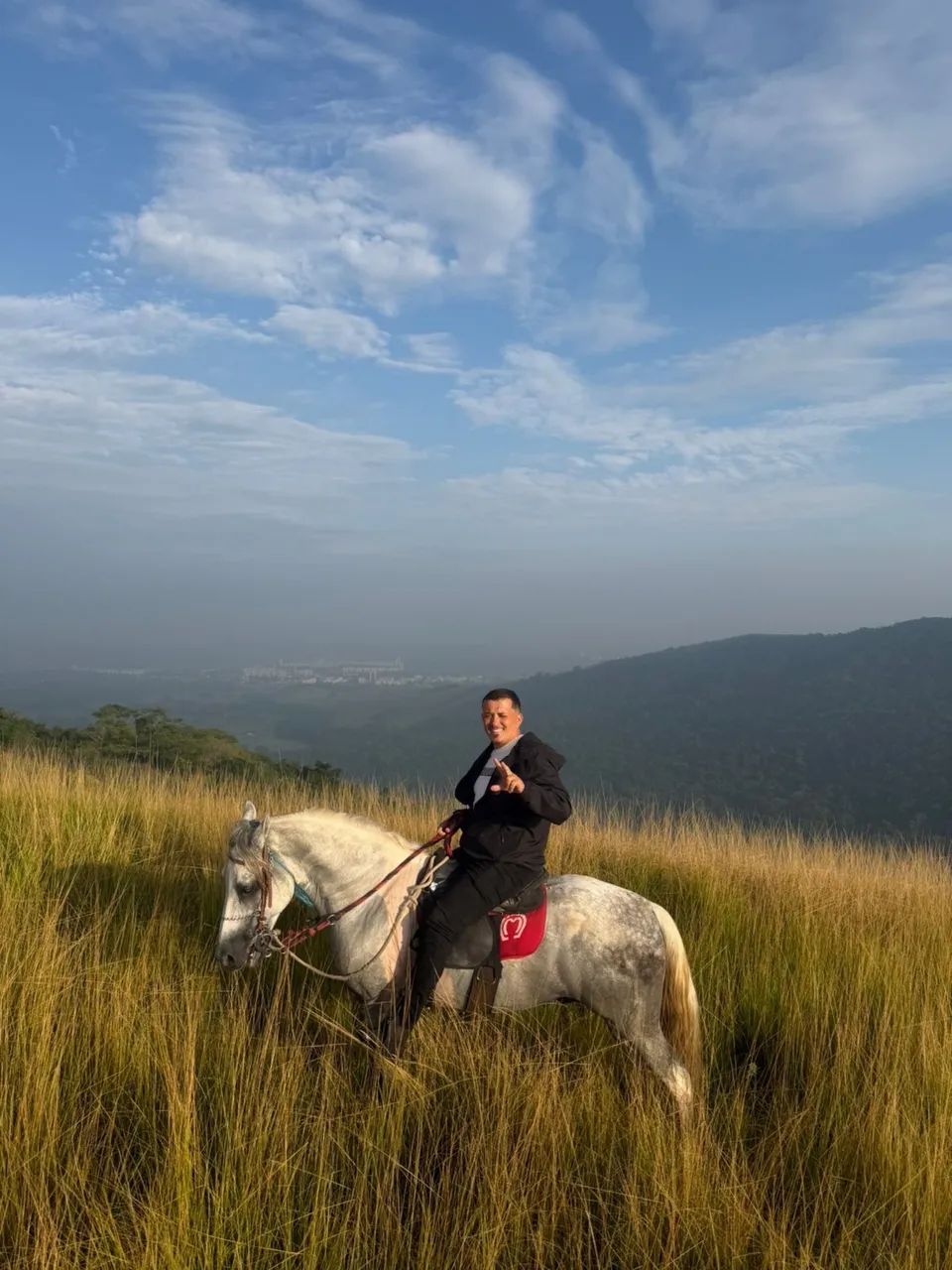 Cavalo - Foto 3