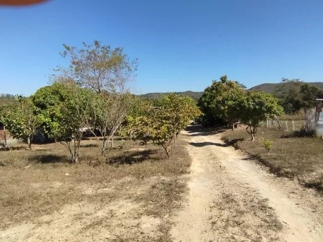 Chácara 2.500 m2 - com Casa de 3 Quartos e Córrego nos Fundos da Propriedade - Foto 3