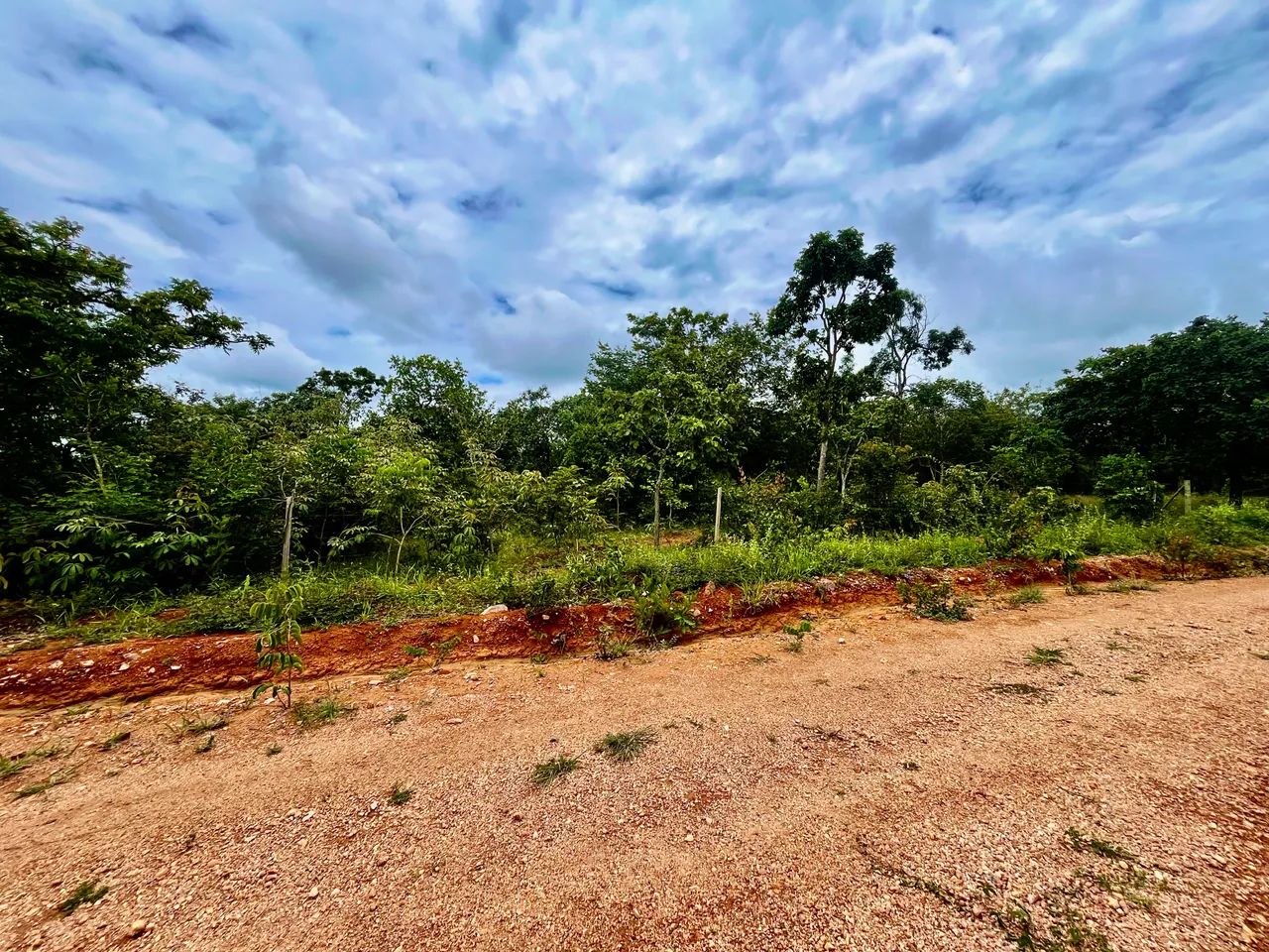 Foto - Belo Horizonte - Floramar