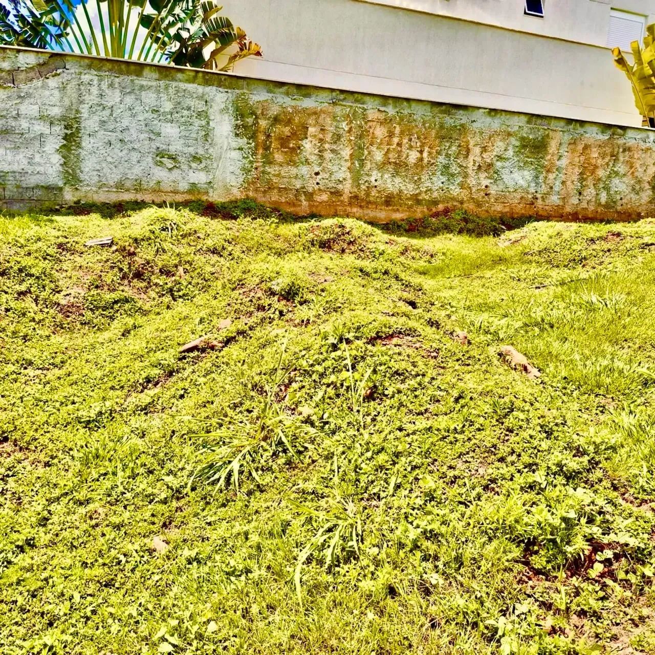 Lote no Jardins Porto - Foto 5