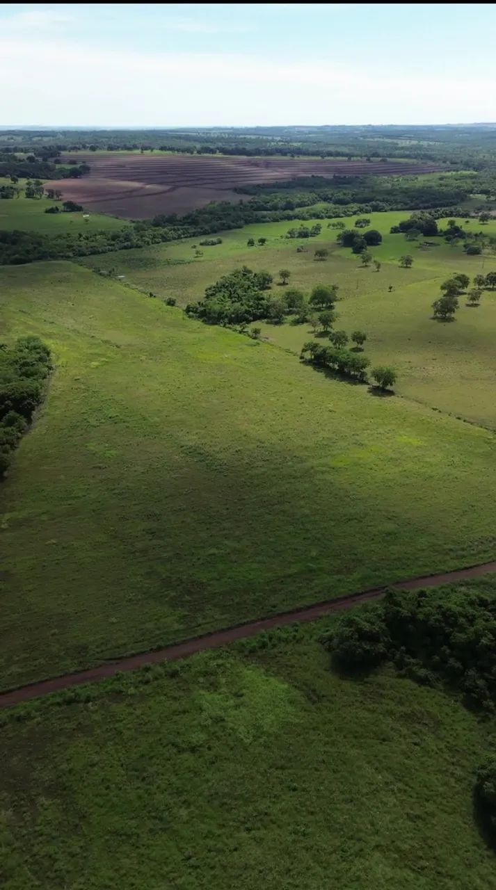 CHÁCARA À VENDA / TERENOS - MS | 41 HECTARES - Foto 2
