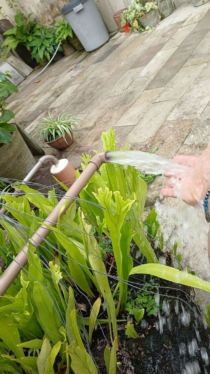 E tome água...... - Foto 4