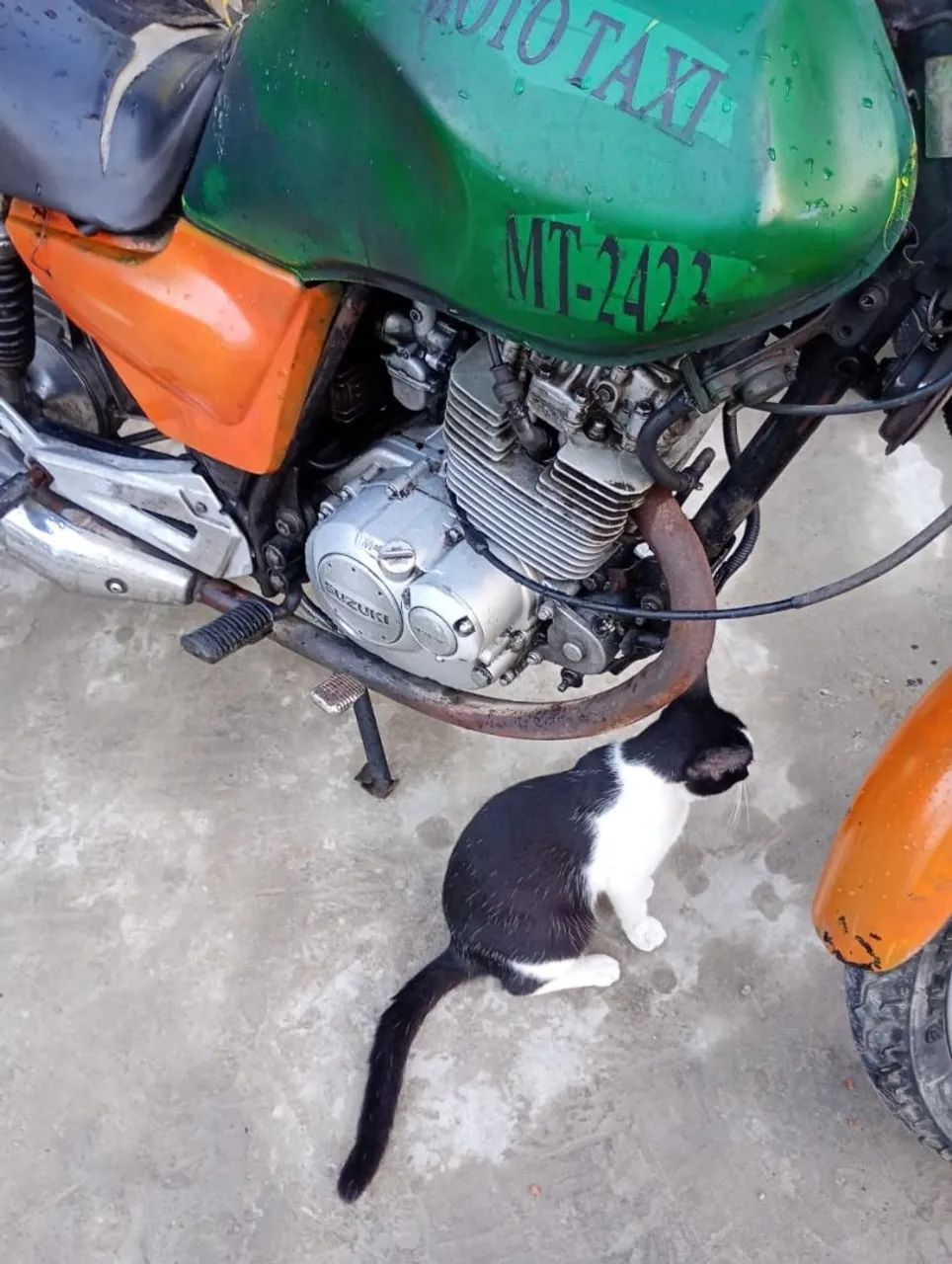 Suzuki (2.500) - Foto 3