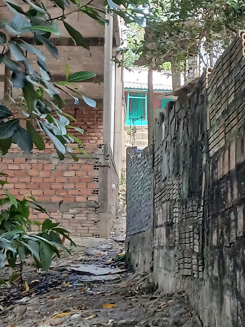 Terreno no bairro colônia terra nova - Foto 4