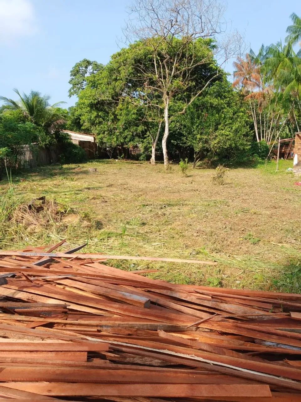 Terreno em pau darco - Foto 2