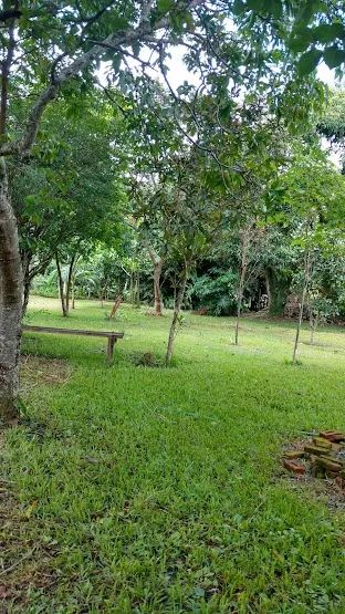 CHÁCARA PRÓXIMA AO CAMPOS SAMAMBAIA DA UFG