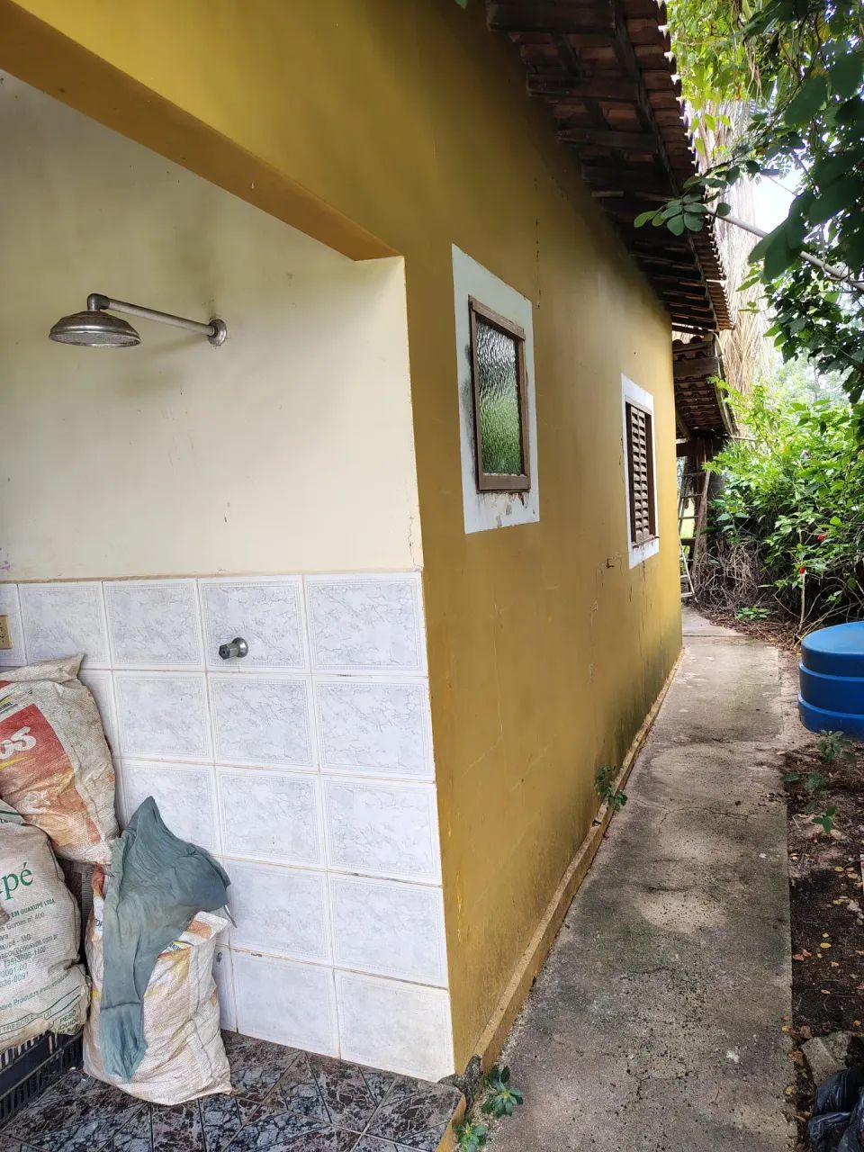 Sitio ótimo para café ,abacate - Foto 5