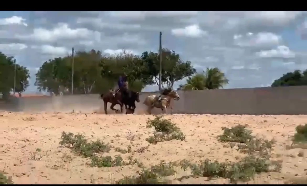 Égua de direita $5500 - Foto 2
