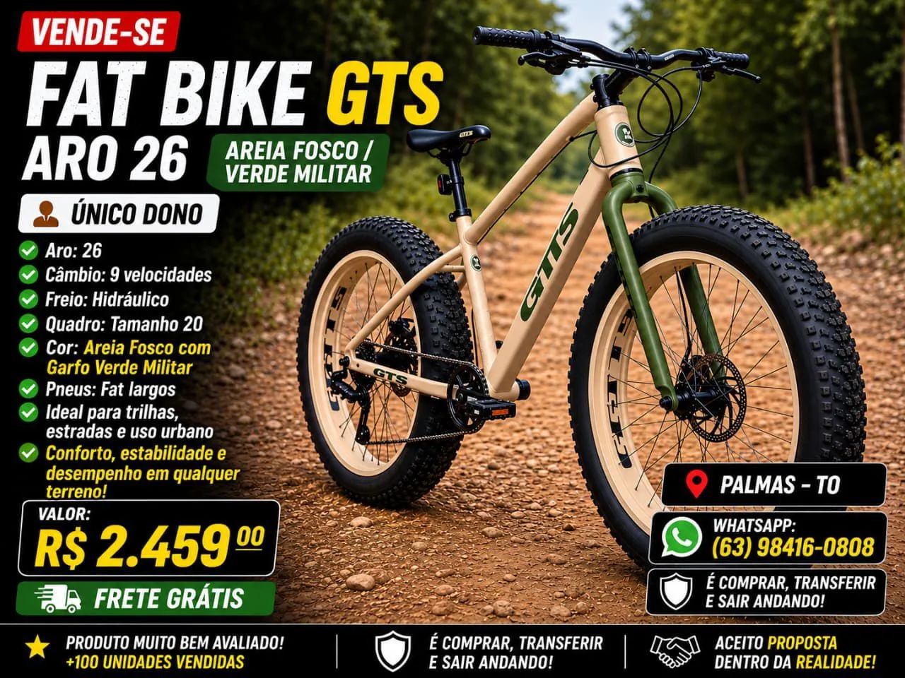 Flat bike gts