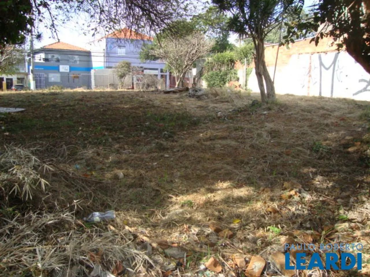 TERRENO - ALTO DA LAPA - SP - Foto 2