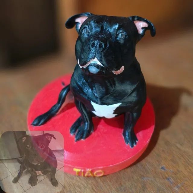 seu pet em peça 3d - Foto 2