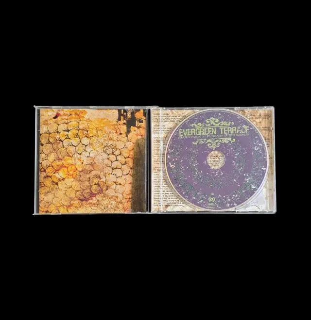 CD Evergreen Terrace - Sincerity Is An Easy Disguise In This