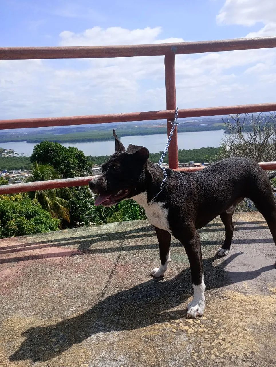 Vendo ou Troco - Foto 2