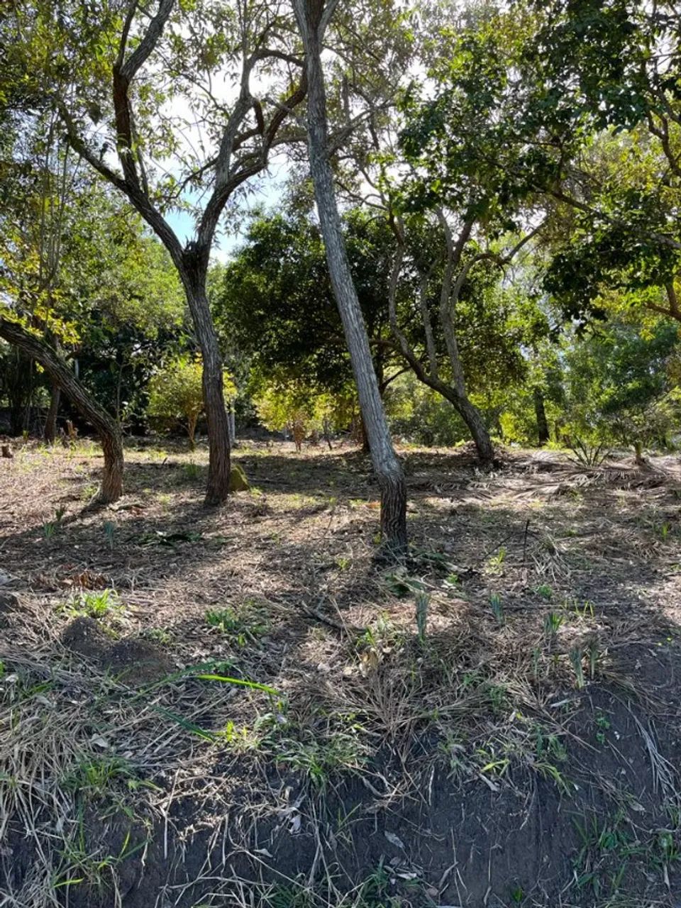 Terreno 11.000 m2  - Foto 3