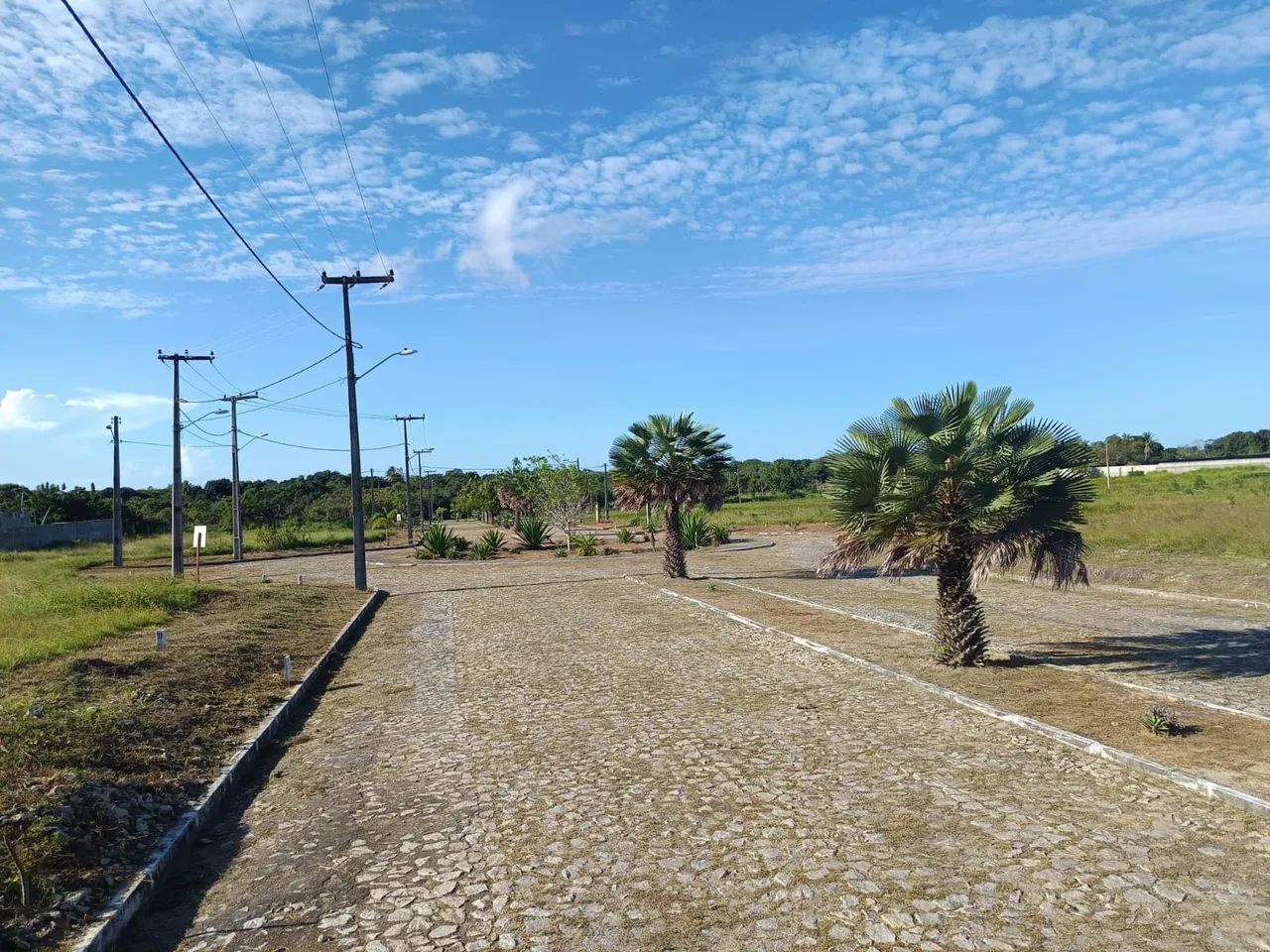 Lotes á venda || Novo Eusébio || Jardim Tropical  - Foto 5