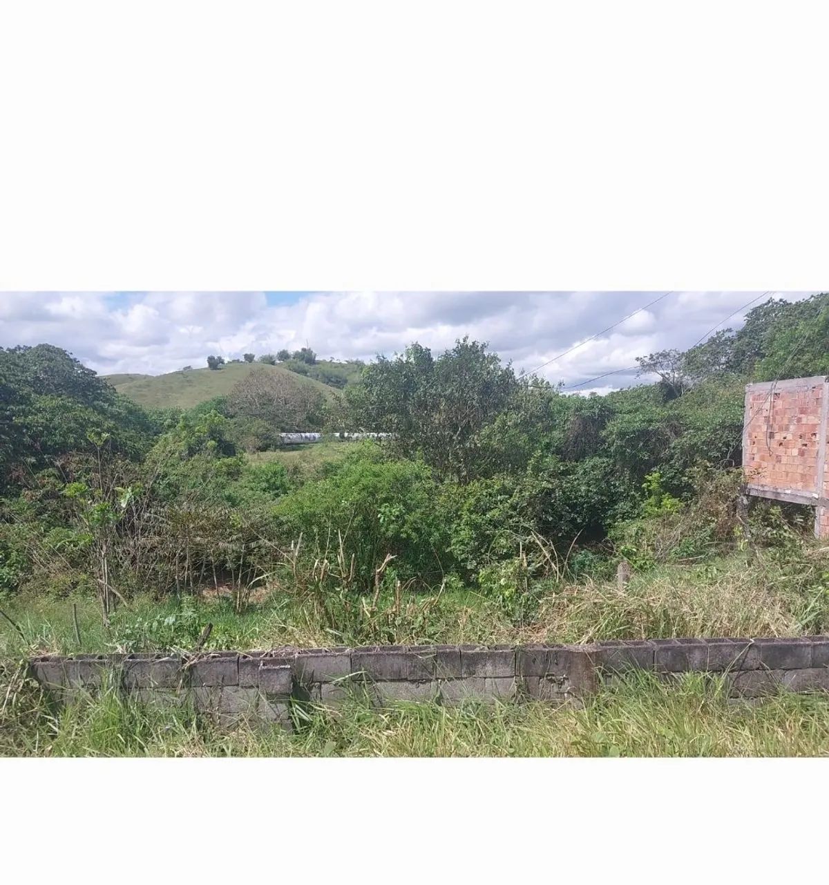 Foto - Santo Amaro - 
