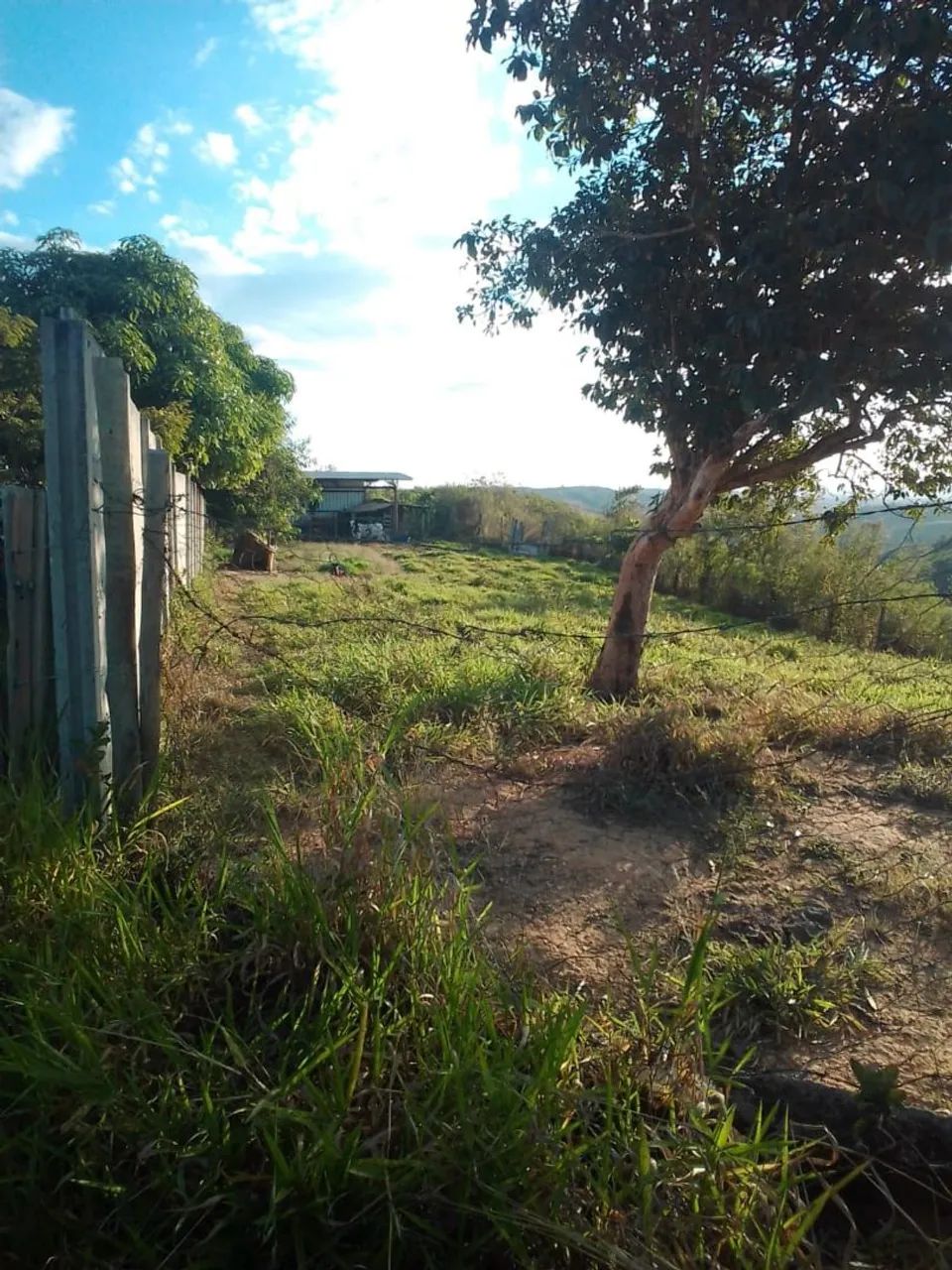 Sítio a venda  - Foto 3