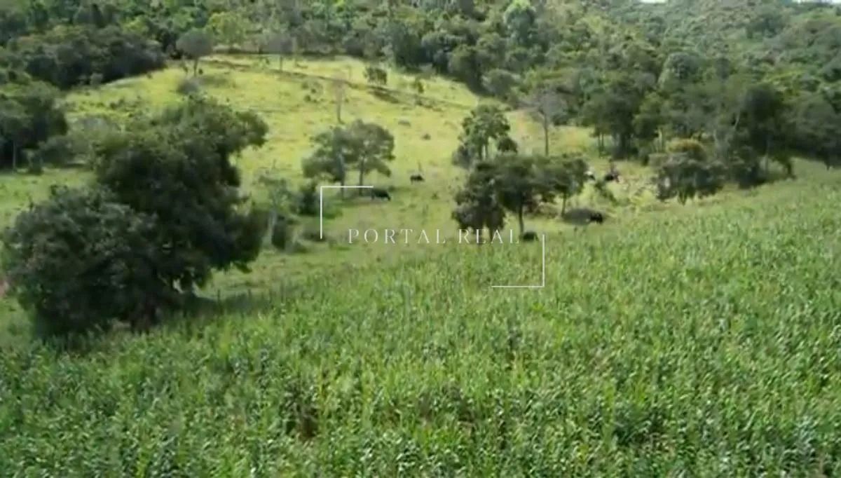 SITIO RURAL em Guapé - Minas Gerais, - Foto 2