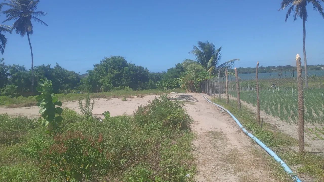 Venda ou aluguel de terreno - Foto 2