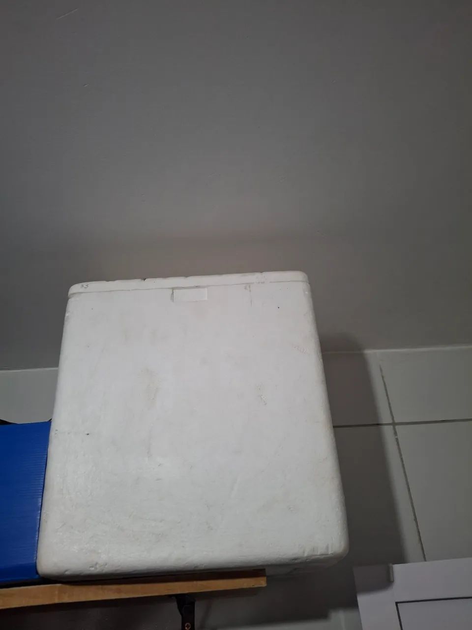 Isopor 40 litros  (30 reais *