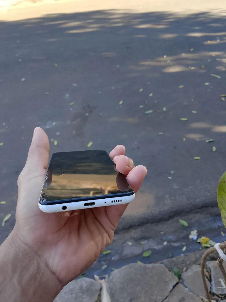 Celular 