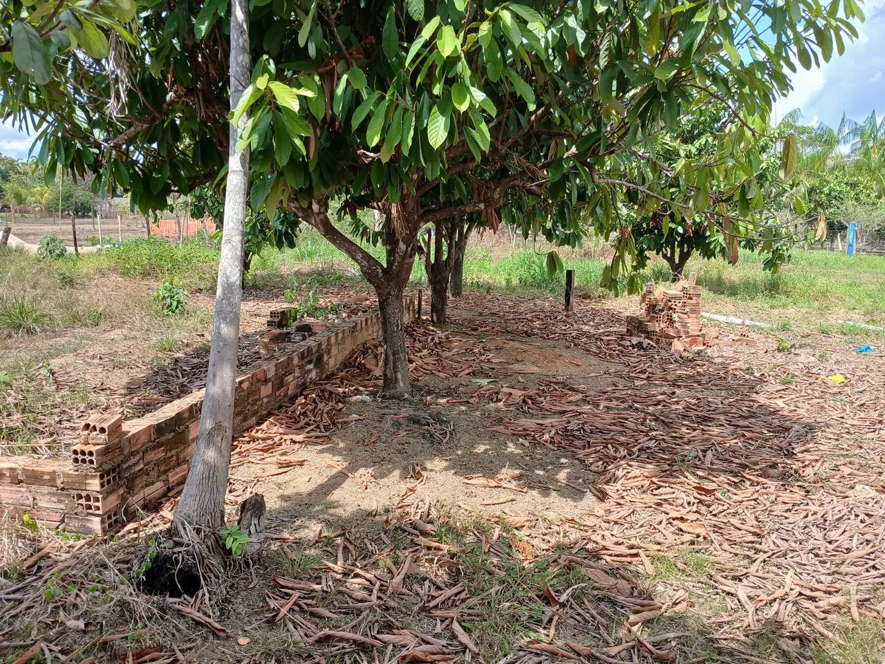 Terreno  - Foto 4