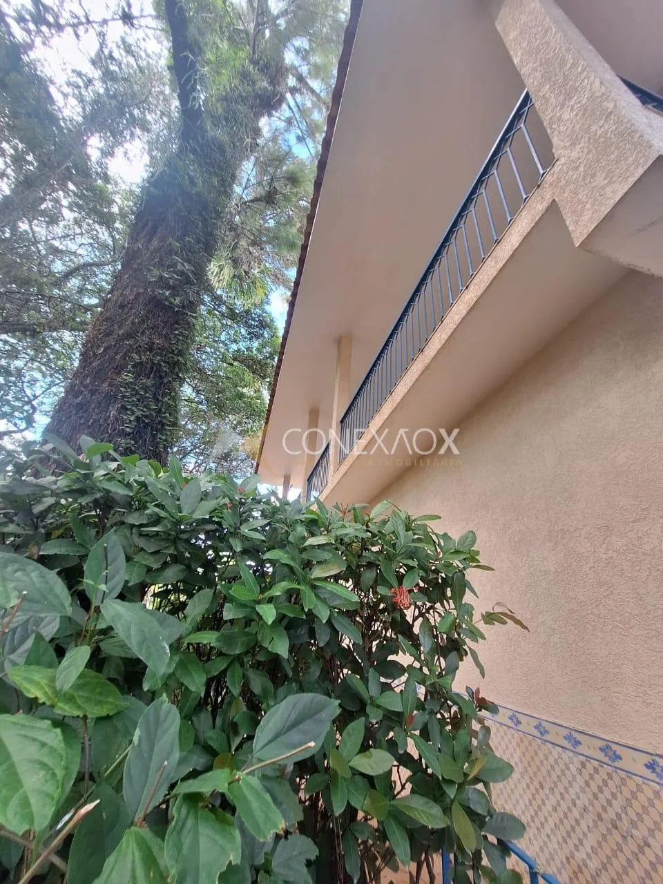 casa - Jardim das Paineiras - Campinas - Foto 4