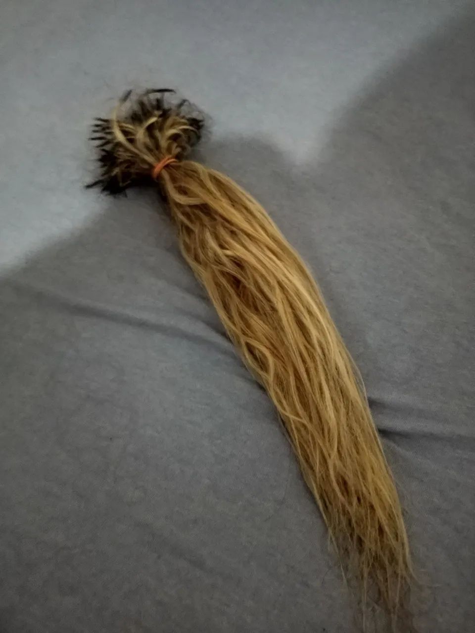 Cabelo humano brasileiro 