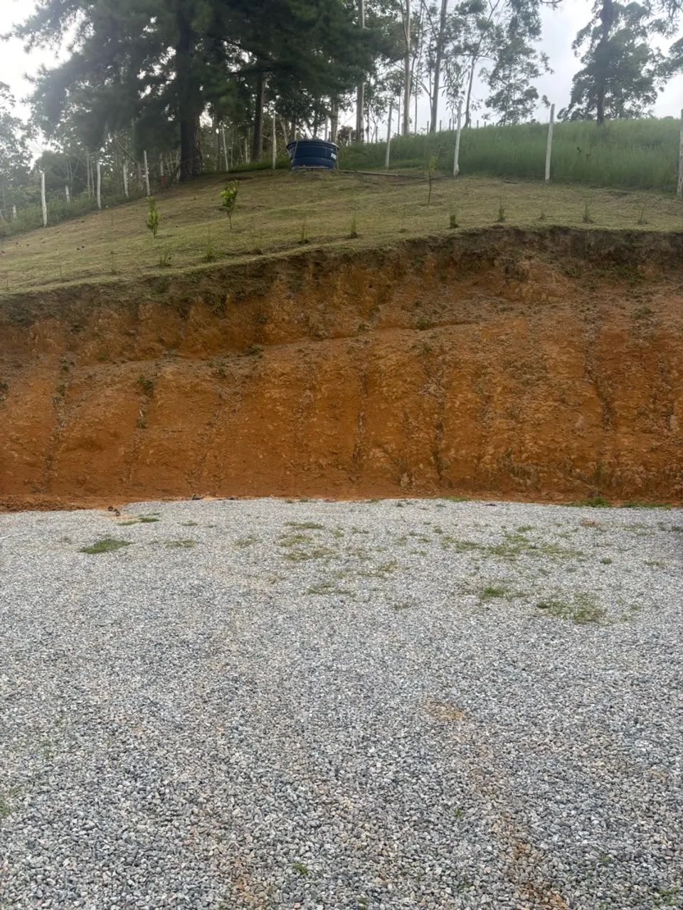 Vendo pequeno sítio com casa - Foto 4