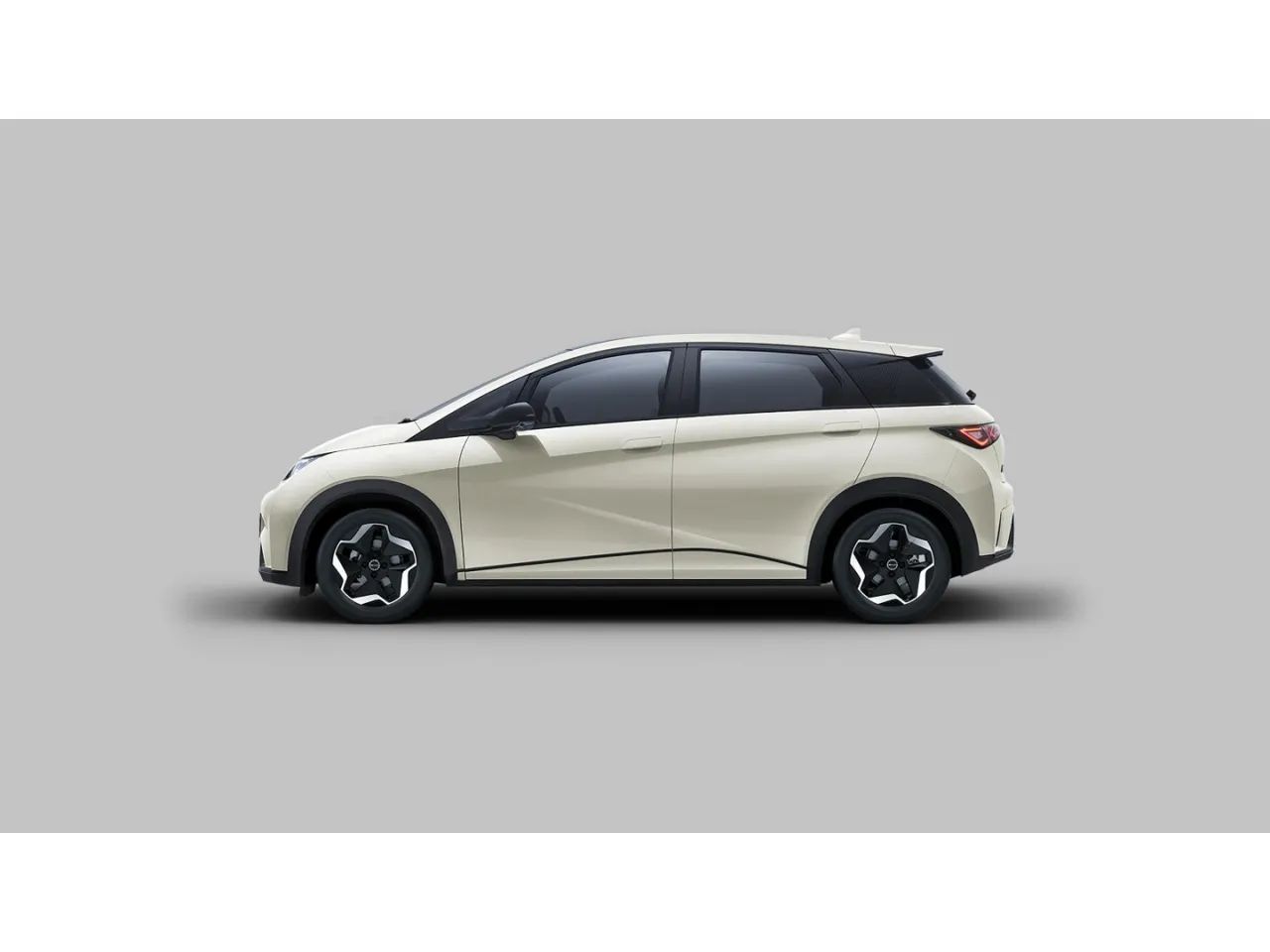 BYD Dolphin GS (Elétrico) 2027 - Foto 4