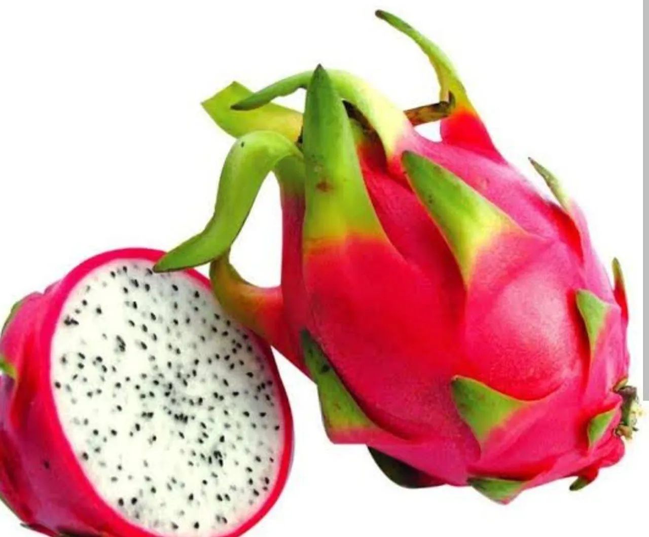 Vendo mudas de Pitaya Branca  - Foto 2