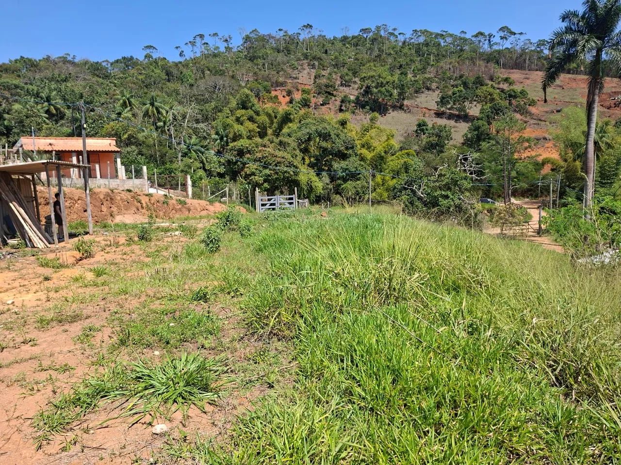 Vendo granja  - Foto 2