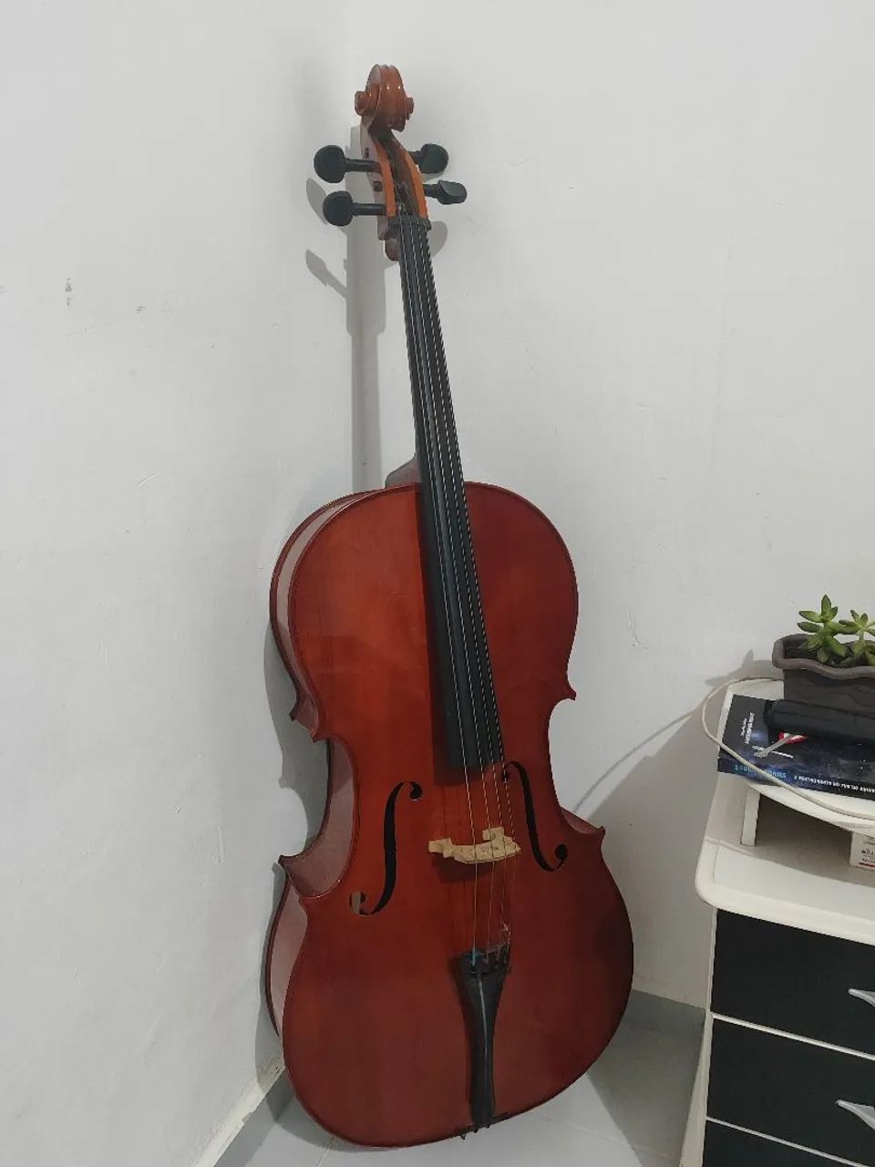 Violoncelo Parrot