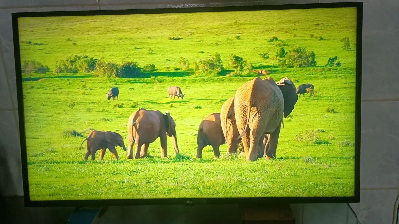  LG Smart 4K 50 polegadas  - Foto 4