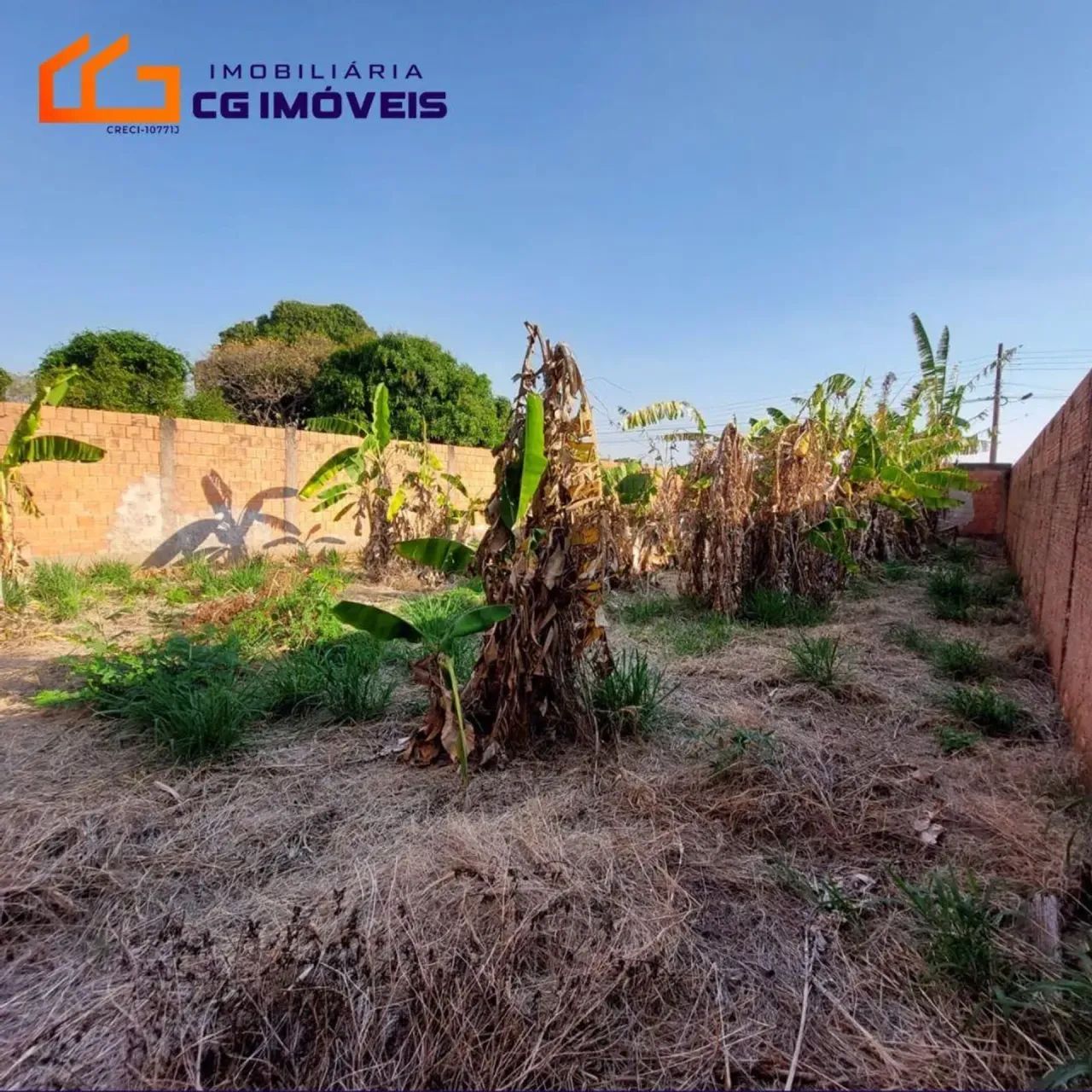 TERRENO TODO MURADO  Nova Lima - Campo Grande - MS - Foto 2