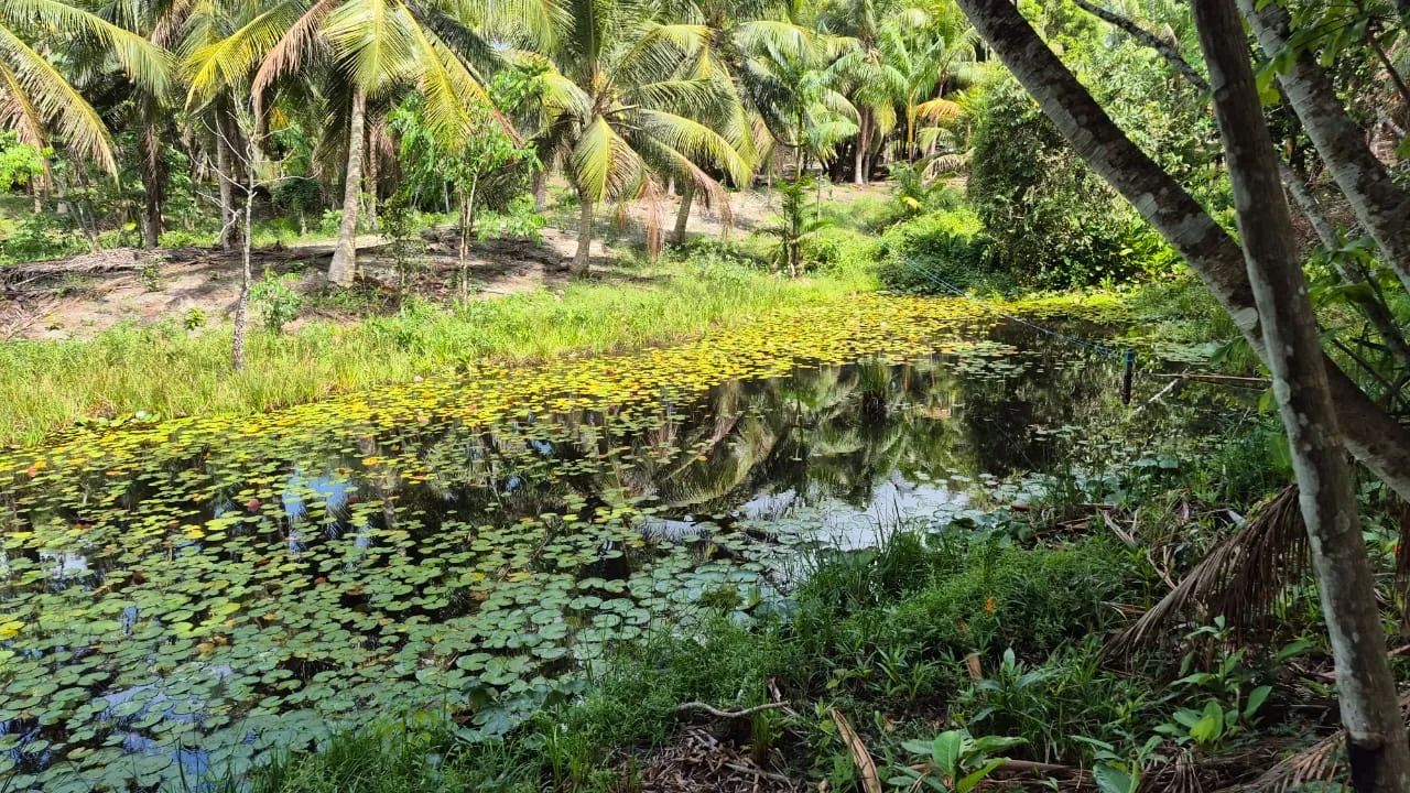 Sitio  Marapanim ( Beira Pista ) 