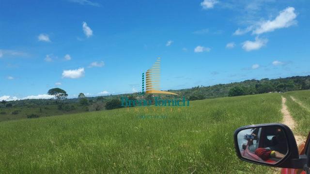 Fazenda á 15KM da balsa de Santo André - Foto 6