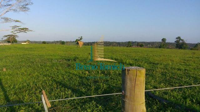 Fazenda á 80KM de Eunápolis - Foto 10